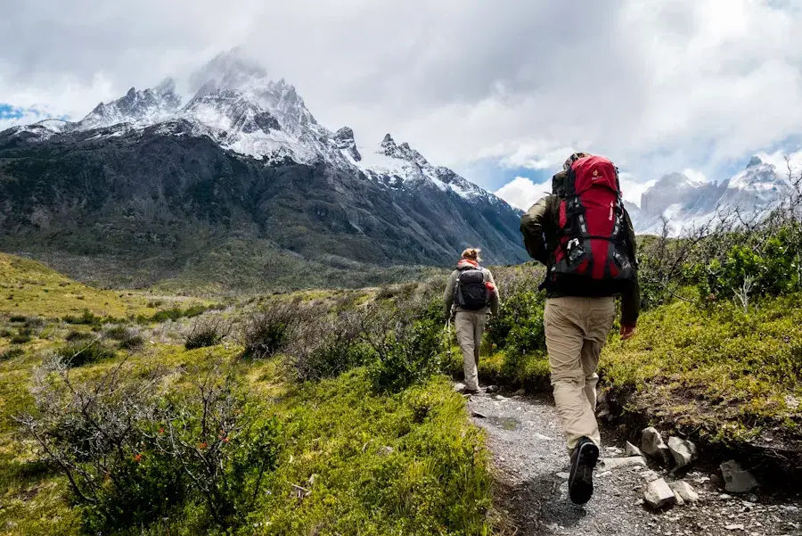 Hiker walking a forest trail